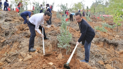 陈敏张爱军戚优华参加义务植树活动，为“世界客都·长寿梅州”再添新绿！