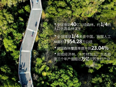 2021年国际森林日来了！7组数据看森林对我们多重要