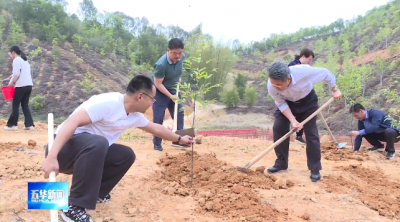 掀起造林绿化新高潮！为“工匠之乡·宜居五华”再添新绿