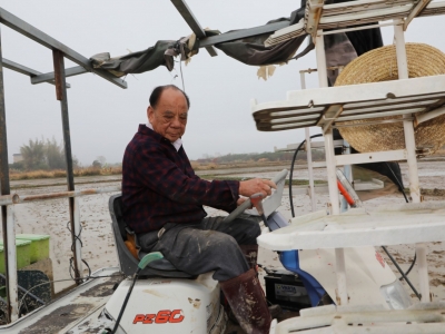 11年垦荒500多亩 ！七旬老人让丢荒地重变“大粮仓”