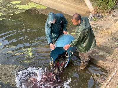 梅县区：鱼苗投放正当时，渔业技术人员“支大招”！这些准备要做好...
