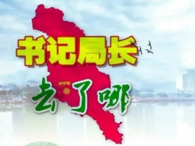 兴宁各镇党委书记、各局局长上周在忙什么？