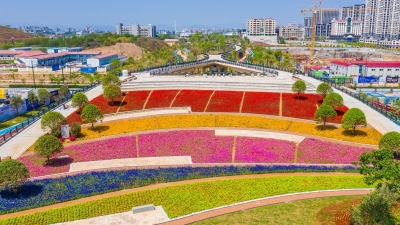 春天，来绿轴花园广场，奔赴这场与花海的约会叭！