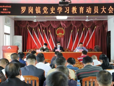 兴宁市罗岗镇召开党史学习教育动员大会