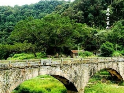 梅州市最美古树名木之榕树：蕉岭县南磜镇石寨村榕树（迎客榕） 