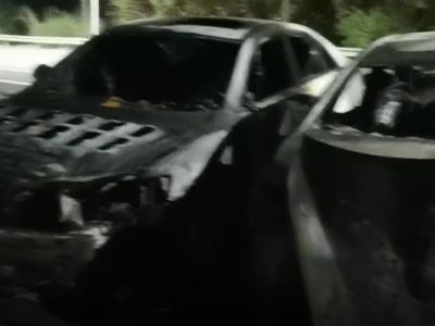 一黑一白两小车，最后都黑了！“蓝朋友”来过！