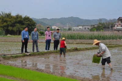 梅江区纪委监委：跟进监督 不误农时保春耕