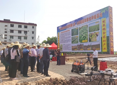 让大片土地铺上“绿装”！兴宁市南药和粮食基地春播启动啦