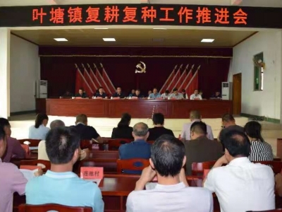 兴宁叶塘镇：复耕复种让“撂荒地”变回“淘金田”~