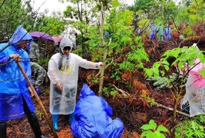 今日雨，宜种植~五华周江添新绿！