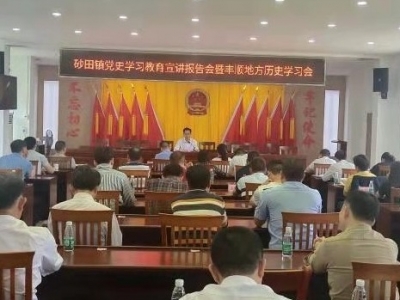 丰顺县砂田镇举行党史学习教育宣讲报告会