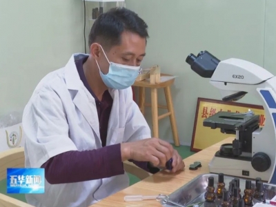 五华县华阳镇松红梅花卉产业为乡村振兴注入“芳香”内涵