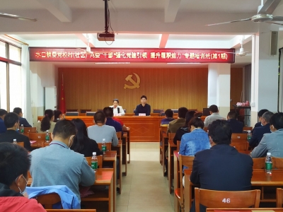 学习动态丨兴宁水口镇举办新一届村（社区）“两委”干部入职培训及党史学习教育培训班