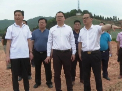 周小勇到仁居镇调研