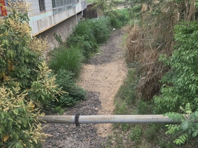 河道杂草丛生，群众心惊惊：汛期洪水来了怎么办？镇政府回应...