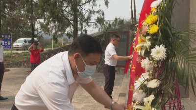缅怀革命英烈，传承红色精神！蕉岭新铺开展清明祭扫活动