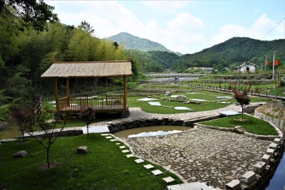 撂荒地，变身乡村游“打卡点”！你要的田园生活，在这