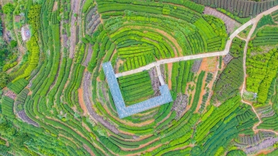 大埔这条乡村游精品路线入选2021中国美丽乡村休闲旅游精品线路！五一打卡去