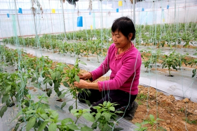 “手牵手”前行，“心连心”振兴！看梅江区粲然绽放最美模样