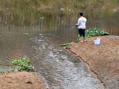 我为群众办实事丨攻坚3个月，清澈见底的三坑水又回来了 