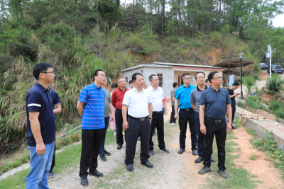 朱国城调研乡村振兴工作：因地制宜打造美丽乡村