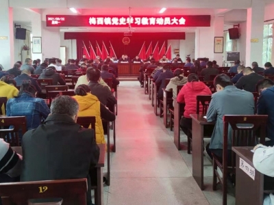 学习动态丨梅西镇：深入开展党史学习教育，汲取力量干事创业