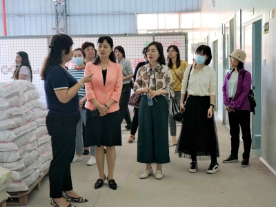 梅江区妇联开展“互学互促感恩党 巾帼建功展新姿”主题活动