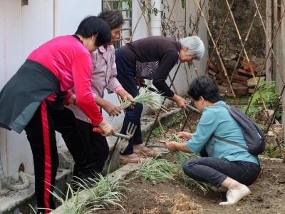 “闲置菜园”变身“公益花圃”！梅江区金山社工站把春天“搬”进这里...