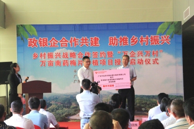 银政企携手！万亩南药梅片种植项目获6000万元授信！一片叶子带富平远乡亲