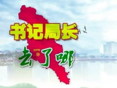 兴宁各镇党委书记、各局局长这周在忙什么？