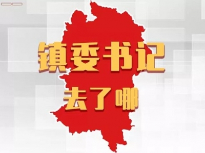平远各镇党委书记，上周在忙什么？