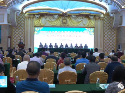 干货满满！这场培训推动五华县梅州柚产业做大做强