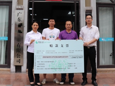 守护农民工“血汗钱”！他们被拖欠工资，保险公司赔付398.5万元 