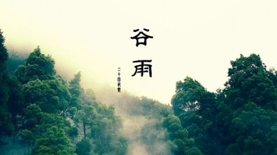 今日谷雨，又是一年别春时！期待夏日的盛放...