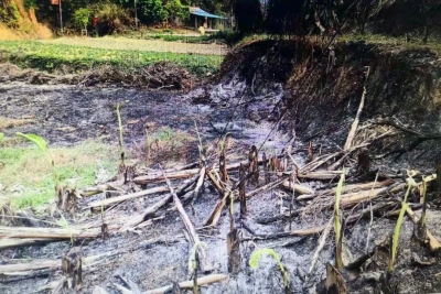 为避人耳目竟半夜到山场焚烧杂草，结果引发山火！这...真该拘！