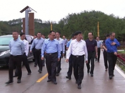 宋才华率队调研乡村振兴工作