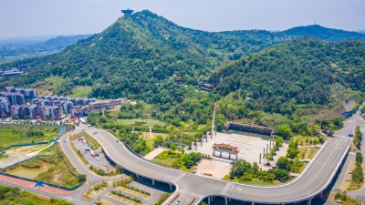 为林业生态增魅力！兴宁这样绘就绿水青山新蓝图...