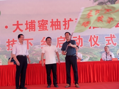 至2025年大埔蜜柚将新增8.85万亩！刚刚，梅州柚·大埔蜜柚扩种推进会暨农技下乡启动