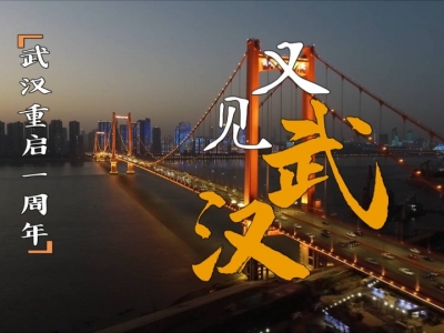 又见武汉