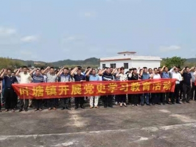 学习动态丨一堂质朴、厚重的“特殊党课”洗礼！叶塘镇开展党史学习教育
