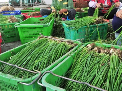 让百姓“买得开心，吃得放心”！万山绿智慧农贸市场项目签约落户梅州