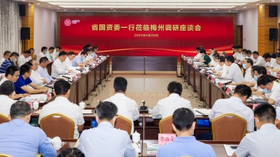 省国资委调研组来梅调研：深化地企合作  推动产业振兴