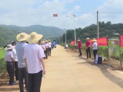 提升农村农业经济效益！丰顺县供销社联合多部门深入基层农村开展助农惠农系列活动