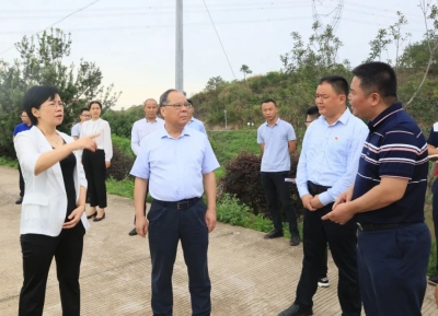 余其豹：精准发力 合力绘就美丽田园新画卷