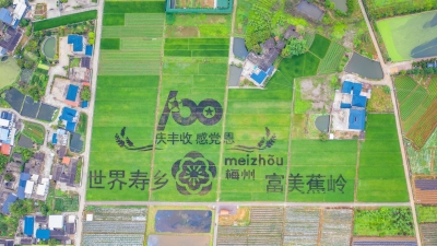 美丽乡村该有的样子！城乡深度融合，“世界寿乡·富美蕉岭”C位出圈~