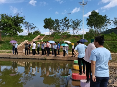 以学促干，聚力发展！梅县区大坪镇组织党员干部到梅江区西阳镇参观学习