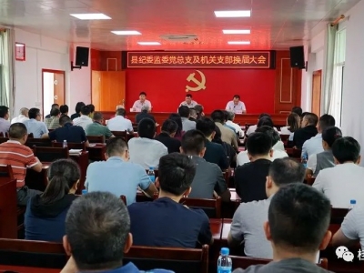 蕉岭县纪委监委党总支部及机关党支部召开换届选举大会