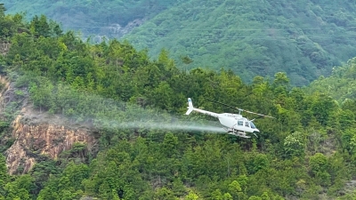 请飞机来“帮忙”！梅州首次开展松材线虫病“飞防”作业~