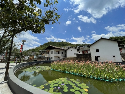 小山村蝶变成“网红”，梅江区西阳镇阁公岭村依托名人效应带动乡村发展 