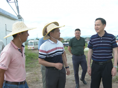 洪国华率队督查垦造水田和水稻种植工作：全力以赴打好打赢垦造水田攻坚战